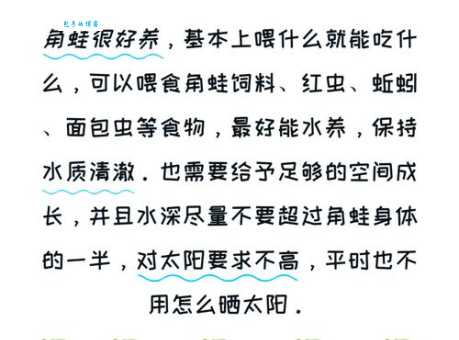 角蛙寿命一般几年？宠物角蛙到底能养多久？