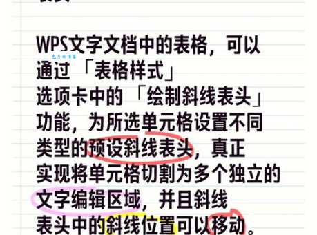 word表格斜线怎么弄？新手一看就会的教程！
