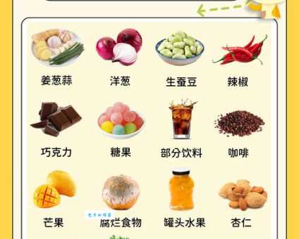 老鼠爱吃什么食物？这几种食物千万别放外面！