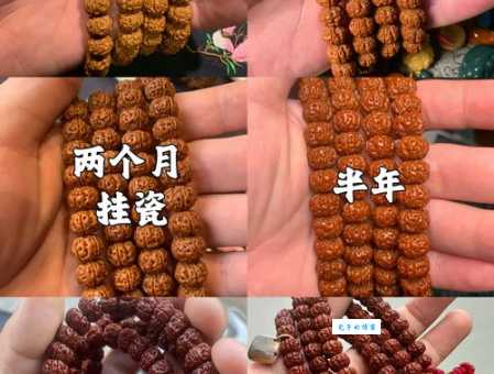 金刚菩提子怎么盘上色快？教你几个小技巧！