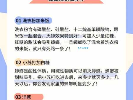 家里有蟑螂别担心，怎么样能快速消灭蟑螂？