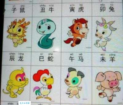 半工半读是什么生肖(哪个生肖最擅长边工作边学习)