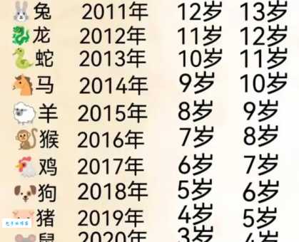 明年是什么生肖年？这个生肖的人明年要注意了！