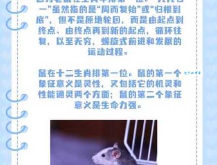焦急万分打一生肖的谜底是？看完你就明白了！