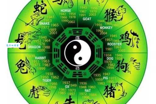 哪个生肖鞍前马后？它的性格特点是什么？