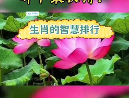 情深似海猜一生肖，这个生肖究竟是谁呢？
