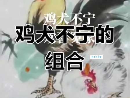 众生所归欢欢喜是什么生肖？一篇文章告诉你！