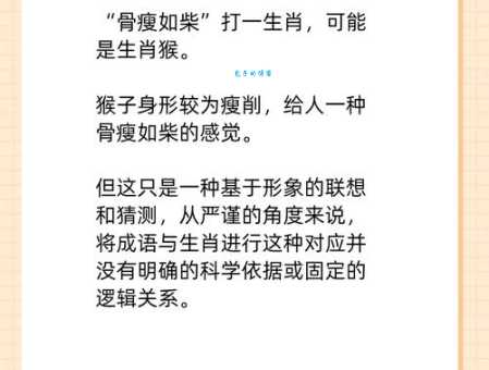 芳华绝代打一生肖是什么？原来答案是这一个！