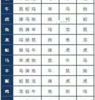 同室操戈是什么生肖？一篇文章讲清楚生肖关系！