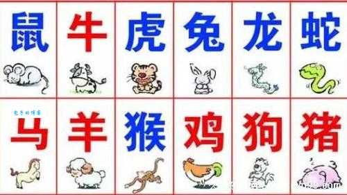 星星之火打一准确生肖，快来看看是不是你！