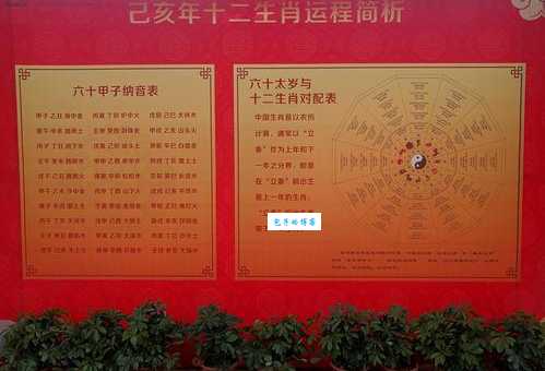 最心安理得的生肖有哪些？快来看看准不准！