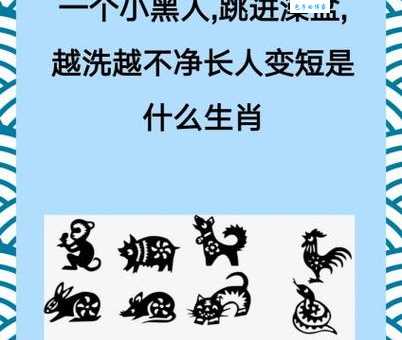 三马同槽是什么生肖？谜底终于揭晓了！