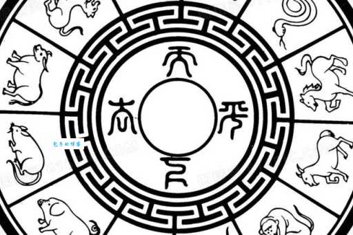 三马同槽是什么生肖？谜底终于揭晓了！