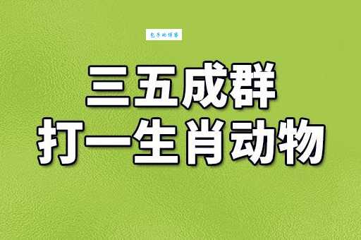 三五成群是什么生肖？快来看看有没有你！