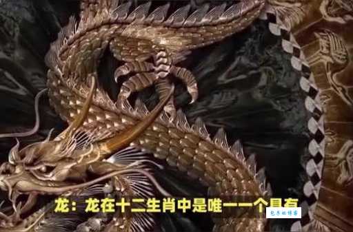 三宫六院是什么生肖？原来是这几个生肖啊！