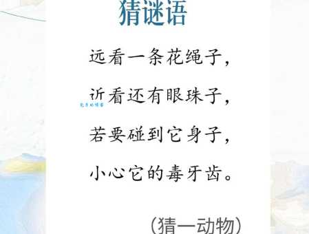 下不为例猜一生肖，这个谜底你一定猜不到！