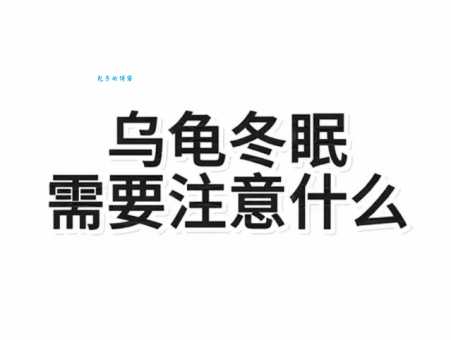 乌龟什么时候结束冬眠？资深养龟人告诉你答案！