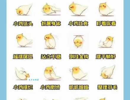 栗额金刚鹦鹉会说话吗？语言能力怎么样？