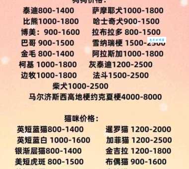 北京柯基犬多少钱一只？这几种价格最常见！