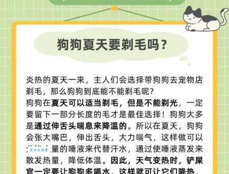 夏天给狗狗剃光毛有助于降温吗？正确方法看这里！