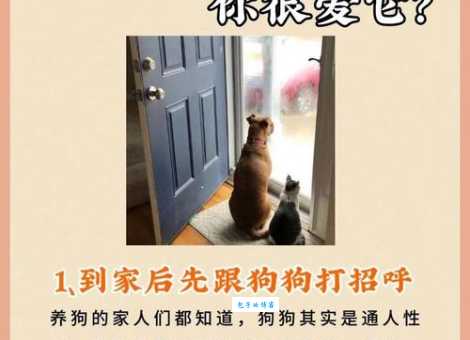 狗能活多久？怎样做才能让狗狗更长寿？