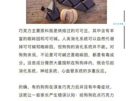 狗为什么不能吃巧克力？小心这种毒药害了它！