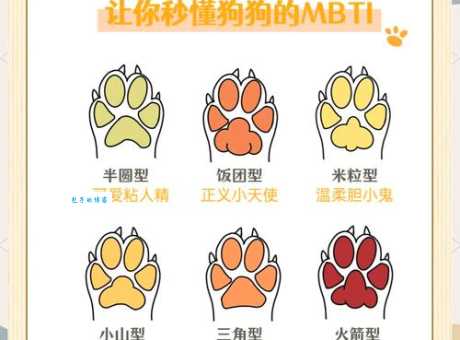 犬的种类和图片介绍，不同狗狗性格大不同！