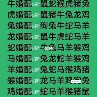 一心一意是什么生肖？这几个生肖对待感情最专一！