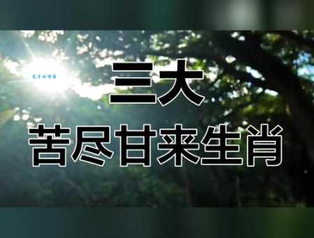 风霜沧桑是什么生肖？这几个生肖经历最多！
