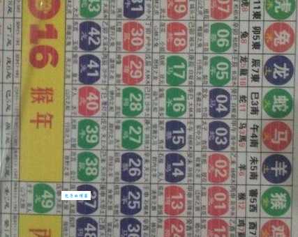 谁知道四六排前取一九是什么生肖？答案就在这里！
