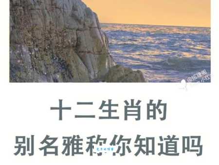 童叟无欺打一准确生肖，你知道正确答案吗？