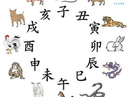 经常熬夜的生肖大盘点，三更半夜是什么生肖？