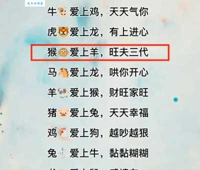 鸡飞狗跳是什么生肖？原来是这些人在搞鬼！