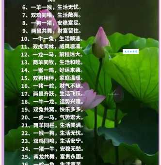 青梅竹马打一最佳生肖，这些组合简直绝配！