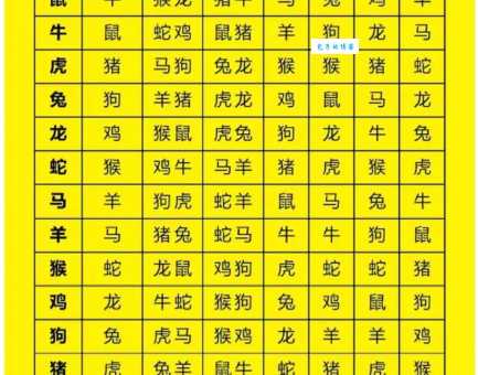 子午相冲是什么生肖？这篇告诉你答案别错过！