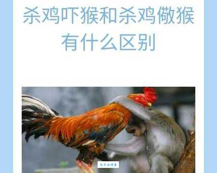 杀鸡儆猴打一生肖怎么解？答案其实很简单！