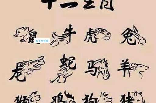 八棱梅花亮银锤猜一生肖，答案是什么生肖？
