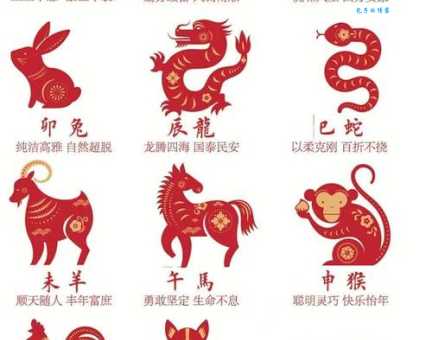 一飞冲天的生肖正确答案是啥？这些生肖快看！