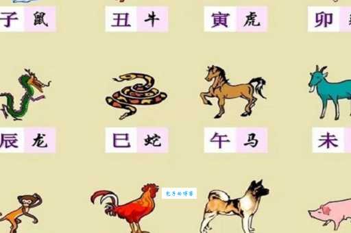 青草绿叶布满地是什么生肖？快来看看你的生肖在不在其中！