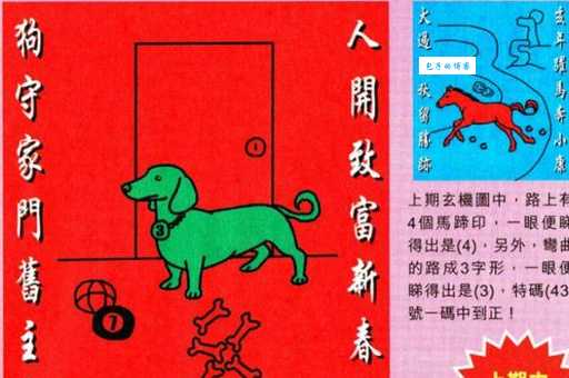 眼花缭乱猜一生肖的谜底是什么？内行人揭秘答案！