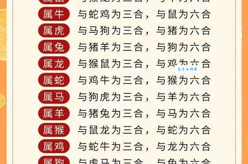梅花三弄指什么生肖？生肖谜底大揭晓！