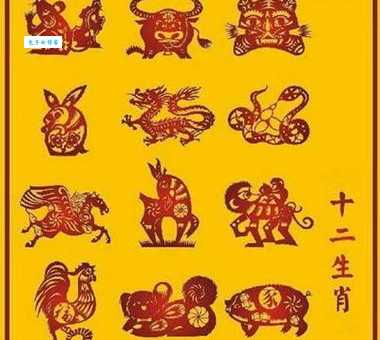 早出晚归是什么生肖？看看有没有你身边的他！