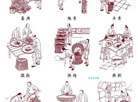 “杀青”一词的真正含义是什么？古代工艺大揭秘！