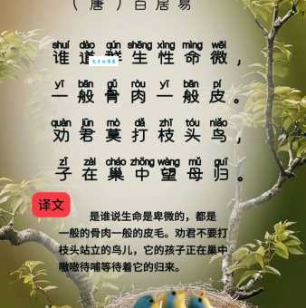 “栖鸟于泉”是什么意思？简单解释及例句赏析