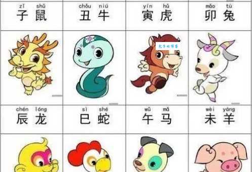 一见如故是哪个生肖？速来猜猜看！