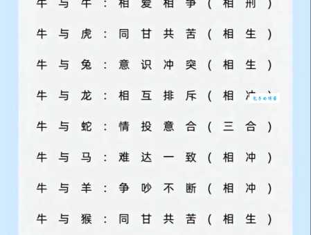 一见如故是什么生肖？揭秘一见如故的生肖缘分