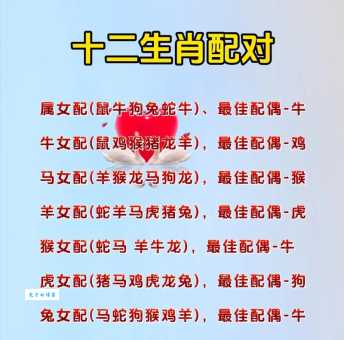 一见如故是什么生肖？揭秘一见如故的生肖缘分