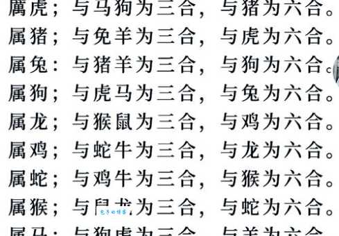 解谜：同心协力代表的生肖是哪个？
