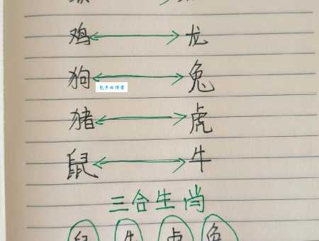 捉贼见赃，十二生肖中究竟是谁？