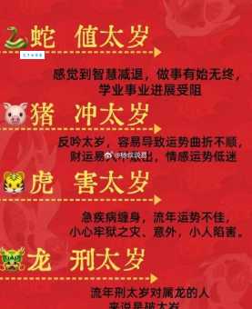 光阴似箭打一生肖是什么动物？答案揭晓！
